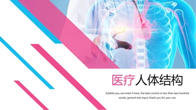 医疗报告人体结构骨骼研究PPT模板