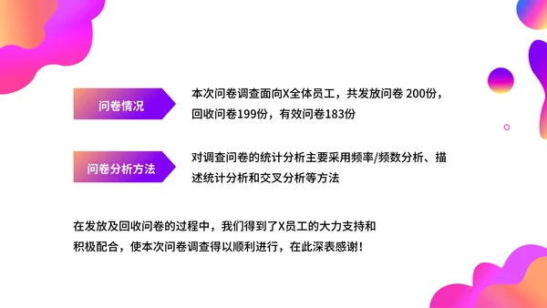 调查问卷分析报告通用PPT模板
