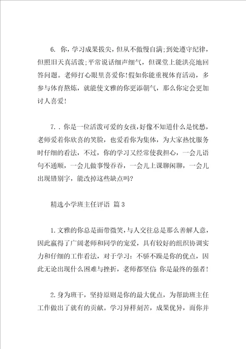 精选小学班主任评语