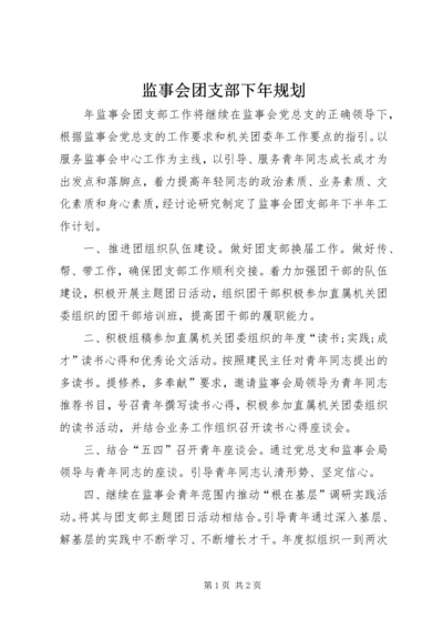 监事会团支部下年规划.docx