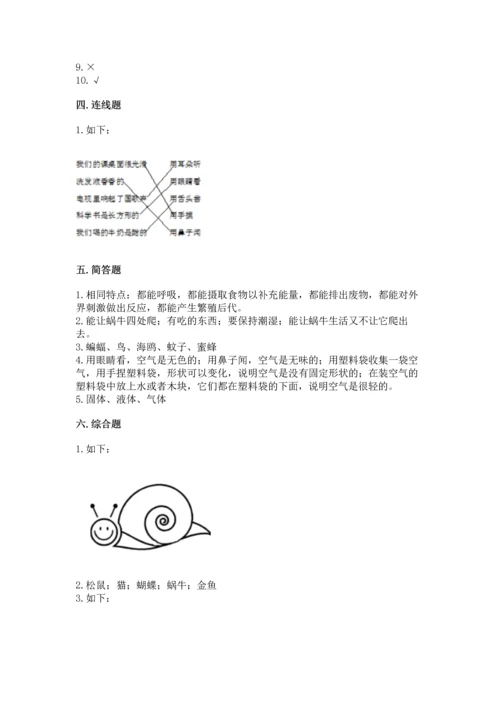 教科版一年级下册科学期末测试卷带答案（新）.docx