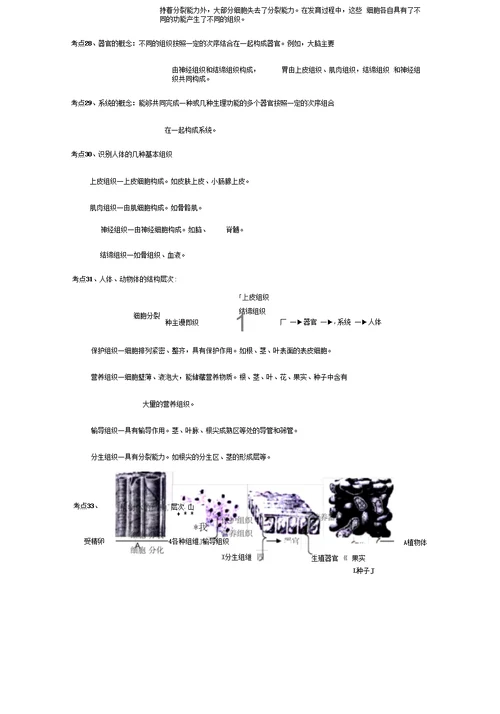 生物复习资料