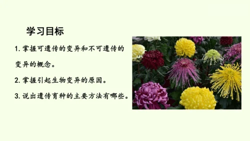 7.2.5生物的变异-八年级生物人教版下学期同步精品课件(共34张PPT)