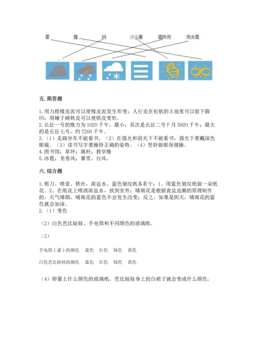 苏教版二年级上册科学期末测试卷带答案（模拟题）.docx