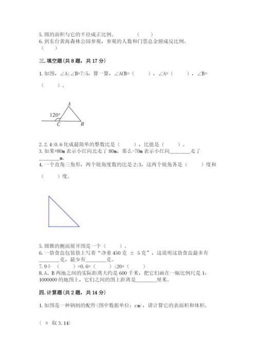 北师大版六年级下册数学期末测试卷【名师系列】.docx