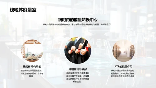 细胞：生命的微观世界