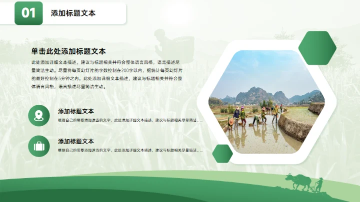 乡村振兴乡村工作汇报绿色通用PPT模板