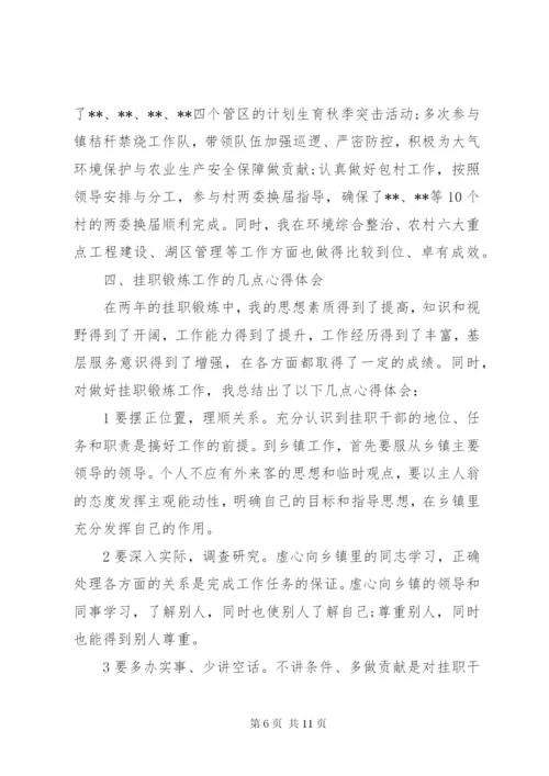 某年到乡镇挂职锻炼的工作总结范文.docx