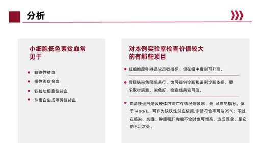 红色简约风缺铁性贫血常规知识培训PPT模板护理