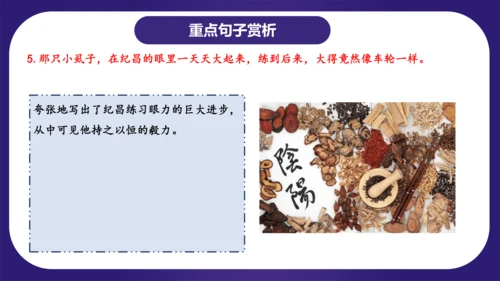 统编版语文四年级上册 第八单元（复习课件）