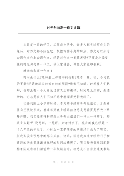 时光匆匆高一作文5篇.docx