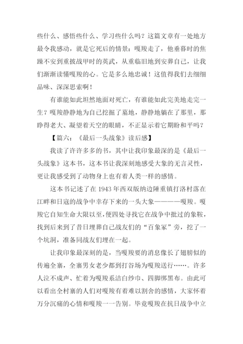 读最后一头战象有感600字.docx