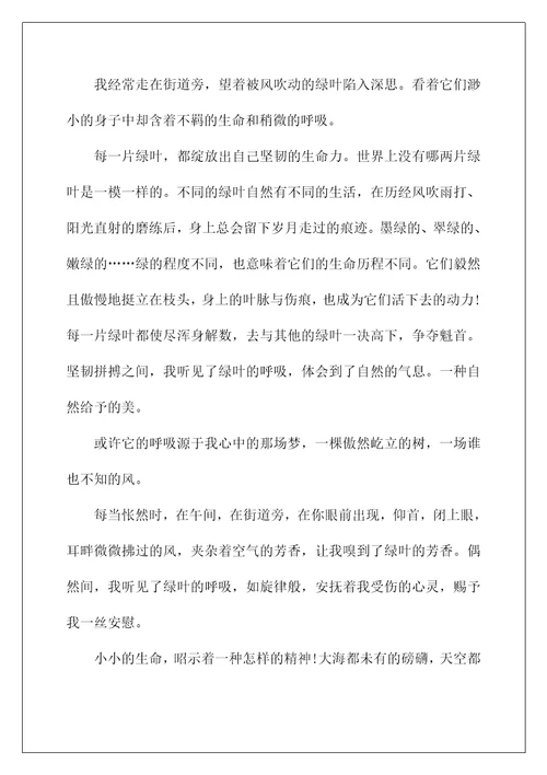 有关听见作文六年级5篇