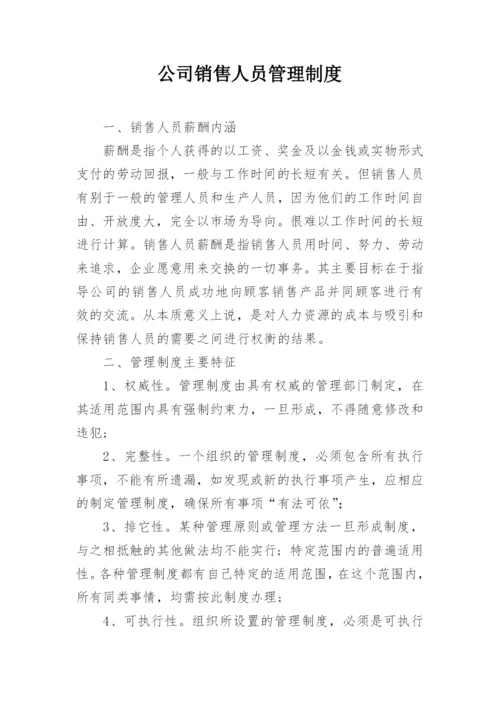 公司销售人员管理制度_7.docx