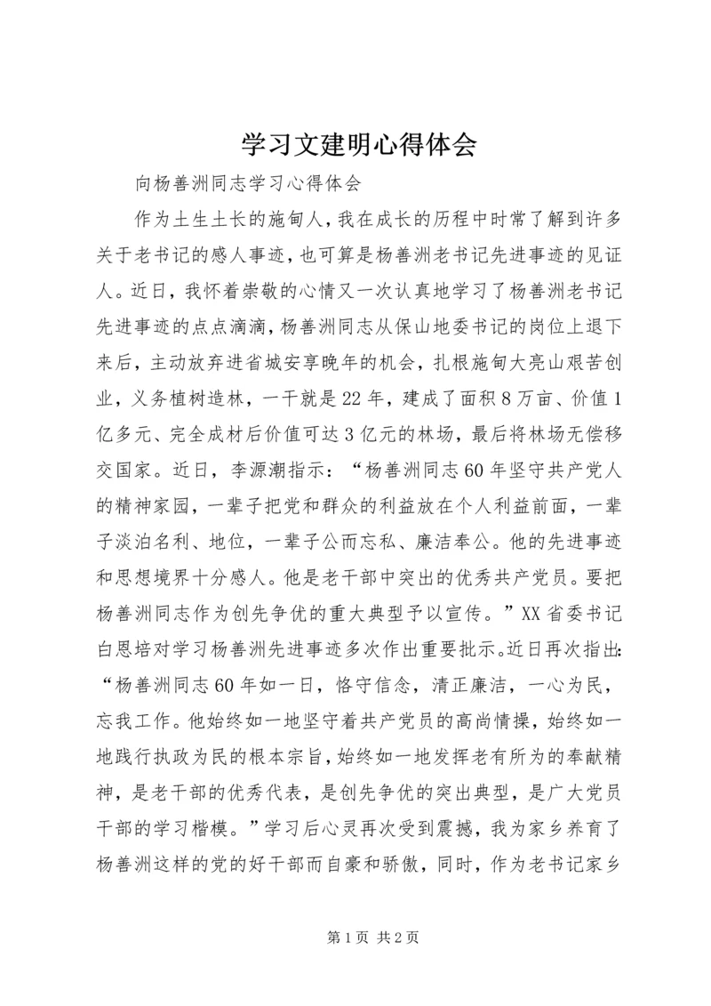 学习文建明心得体会 (4).docx