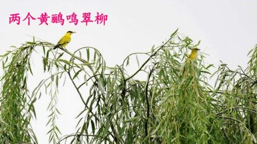 15 《古诗二首》（第二课时）——《绝句》-二年级下册统编版
