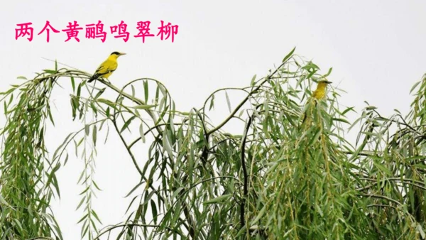 15 《古诗二首》（第二课时）——《绝句》-二年级下册统编版