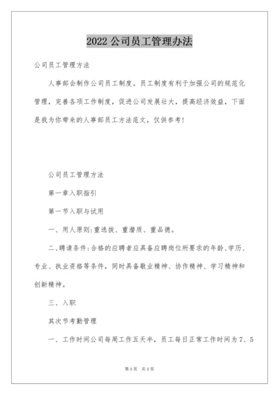 2022公司员工管理办法.docx