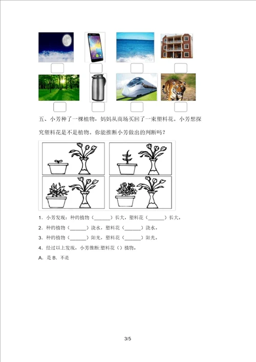 最新教科版一年级科学上册期末考试卷必考题