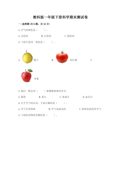 教科版一年级下册科学期末测试卷（全优）.docx