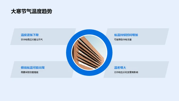 大寒节气农业指南