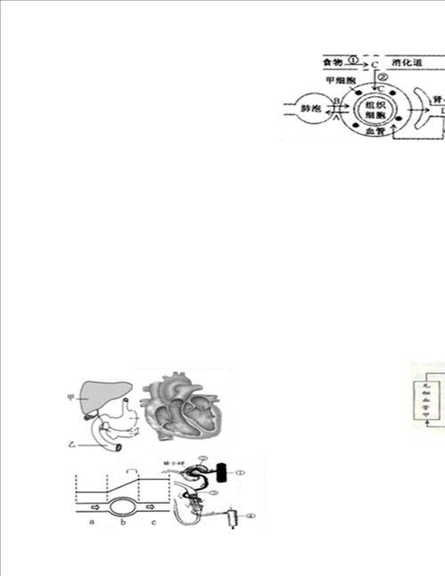 九年级科学生物图过关