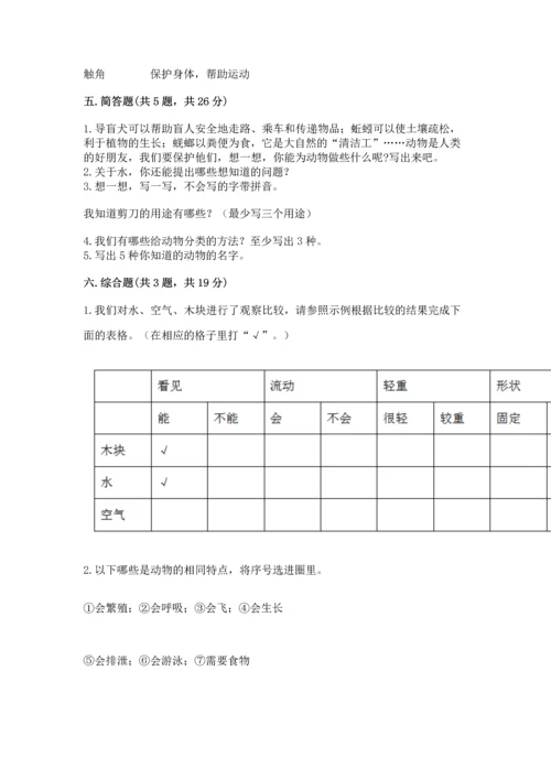 教科版一年级下册科学期末测试卷含答案【巩固】.docx
