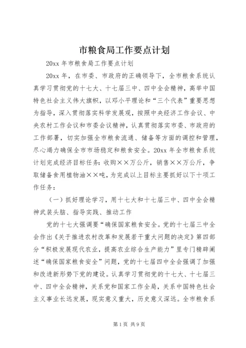 市粮食局工作要点计划 (2).docx