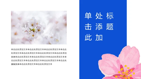 蓝色极简风赏樱攻略