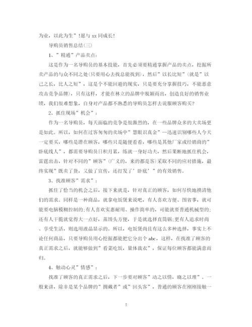 精编之导购员个人销售总结范文.docx