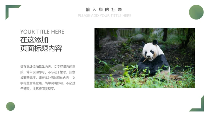 人与自然大熊猫活动宣传通用PPT模板