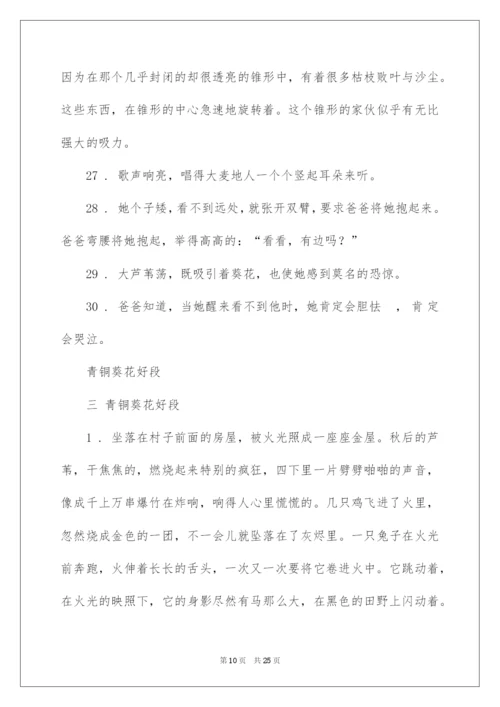 2022《青铜葵花》好词好句.docx