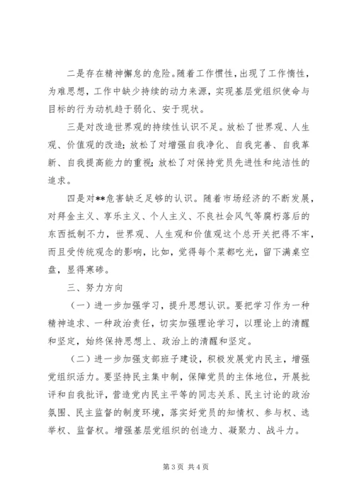 支部党的群众路线教育实践活动对照材料.docx