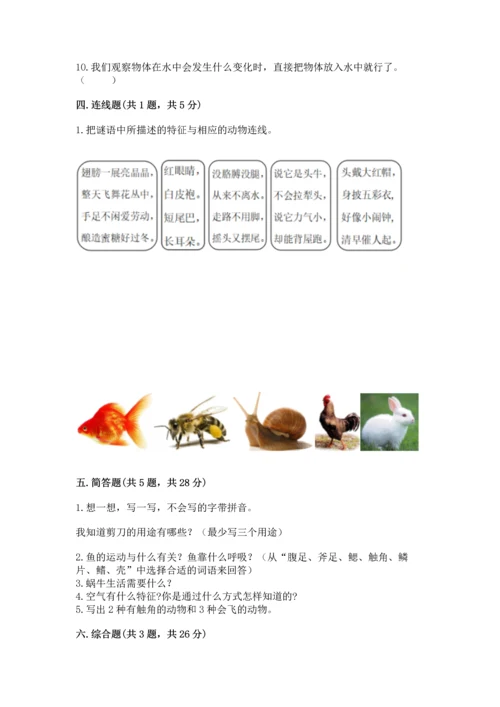 教科版一年级下册科学期末测试卷【黄金题型】.docx