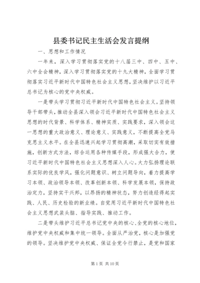 县委书记民主生活会发言提纲.docx