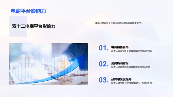 双十二营销策划报告PPT模板