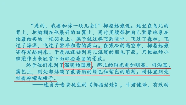 2024年秋部编版三年级上册 第三单元 快乐读书吧；在奇妙的王国里  （课件）