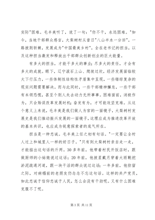 学习毛丰美先进事迹心得体会6篇.docx