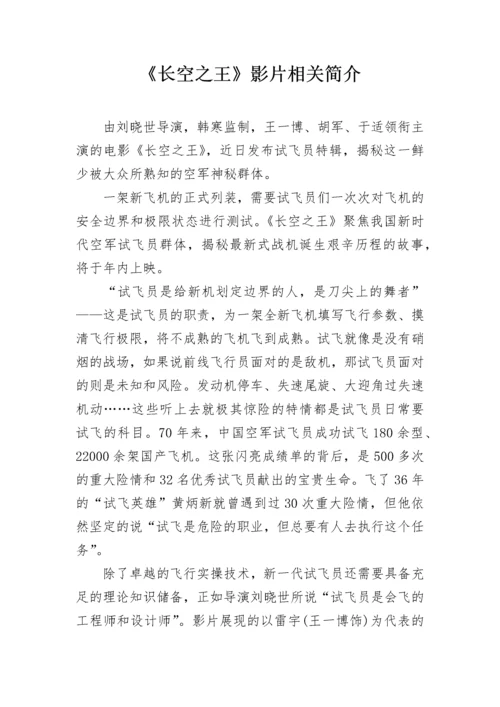 《长空之王》影片相关简介.docx