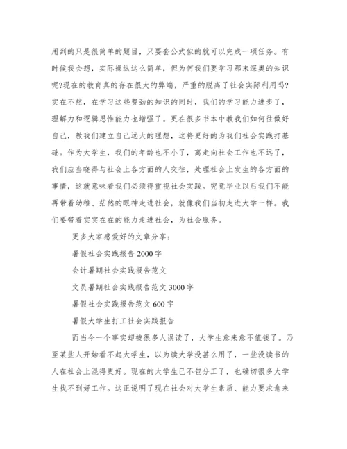 暑期社会实践报告3000字.docx