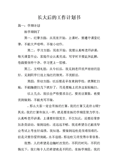 长大后的工作计划书