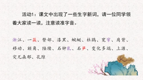 《记金华的双龙洞》课件
