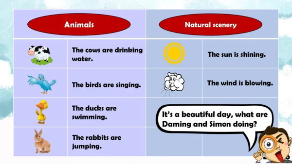 Module3 Unit2 The cows are drinking water 课件(共31张P