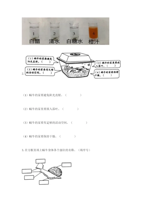 教科版一年级下册科学期末测试卷（历年真题）word版.docx
