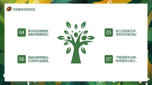 七星瓢虫惊蛰PPT模板