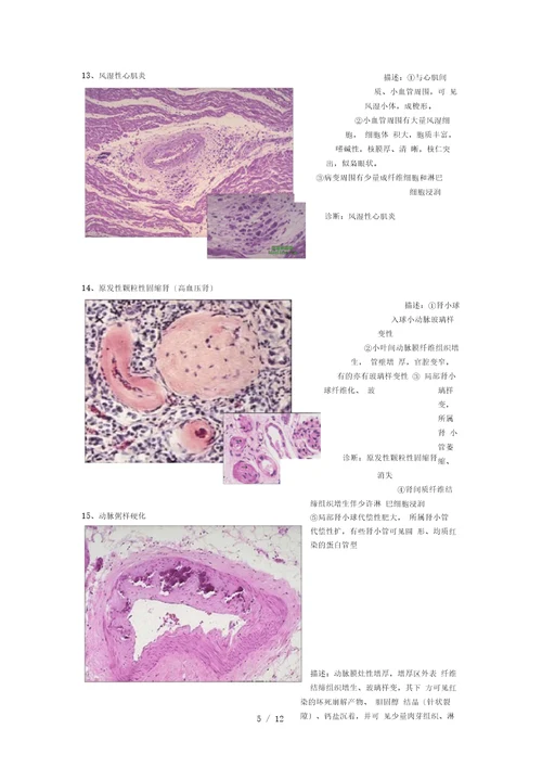 病理切片整理