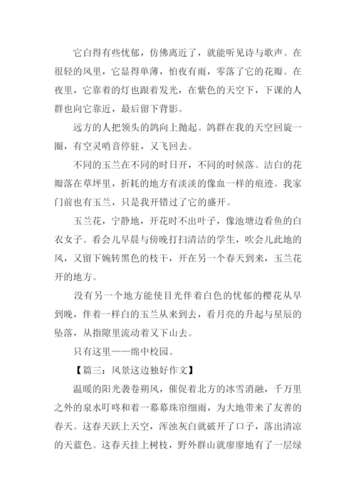 风景这边独好高中作文.docx