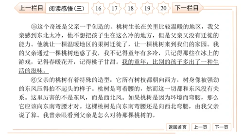 统编版八上语文第二次月考综合检测卷 习题课件（41张PPT）