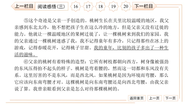 统编版八上语文第二次月考综合检测卷 习题课件（41张PPT）