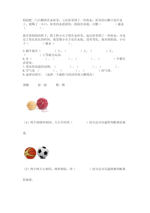 教科版一年级下册科学期末测试卷附答案（满分必刷）.docx